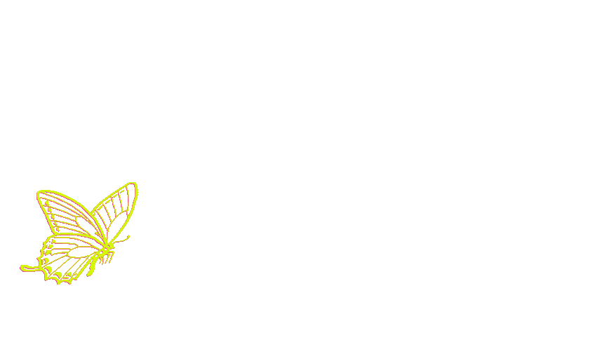 chrysalis clothes butterfly