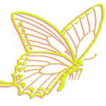 Chrysalisclothes Logo